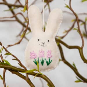 Vilten paastak hanger haasje