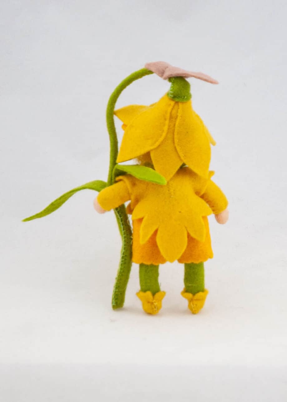 Narcis popje achteraanzicht