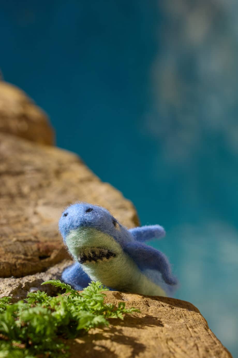 zeedieren vilten, startpakket naaldvilten zeedieren vilten maakpakket zeedieren vilten haai