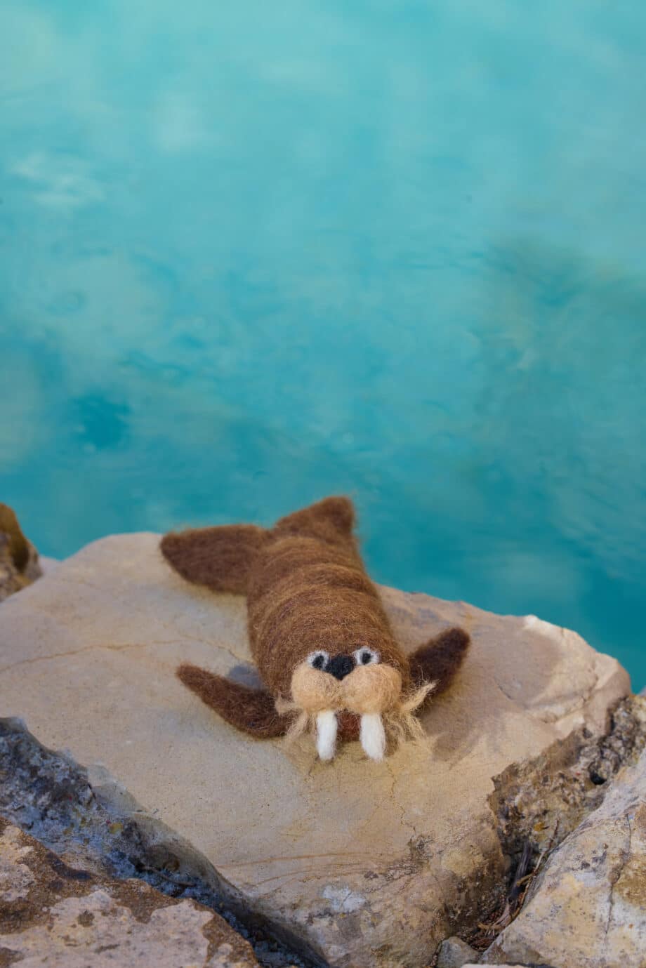 zeedieren vilten, startpakket naaldvilten zeedieren vilten maakpakket zeedieren vilten zeeleeuw