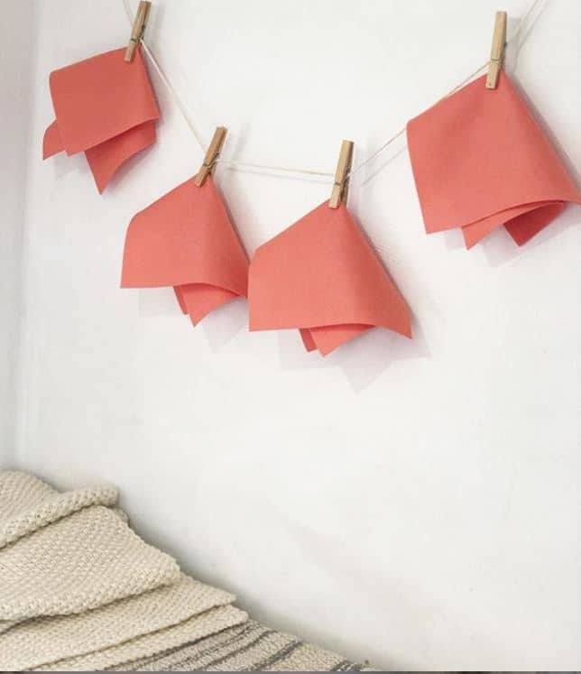 Inspiratie Voor De Nieuwe Kleur Coral Pantone Kleur Van Het Jaar 2019 Meaningful Crafts 4189