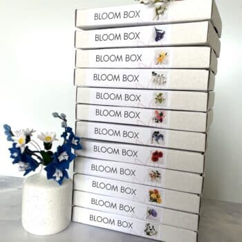 Viltbloemen bloombox groepsfoto van de dozen van de viltbloemist bloomboxen