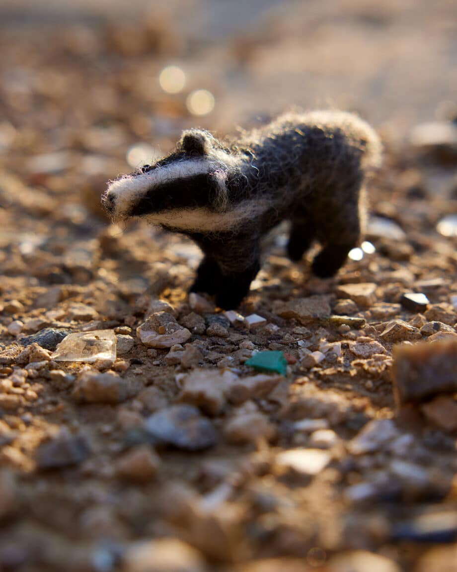 Badger from forest animals needle felt kit