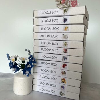 Viltbloemen bloombox groepsfoto van de dozen van de viltbloemist bloomboxen