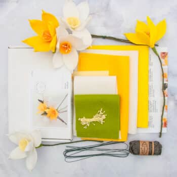 Narcis viltbloem flatlay inhoud pakket viltbloemist bloomboxen