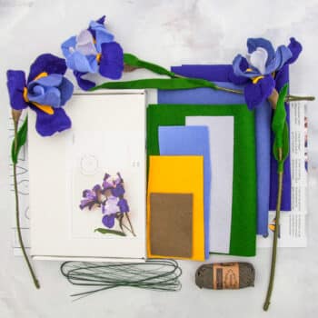 iris viltbloem flatlay inhoud pakket viltbloemist bloomboxen
